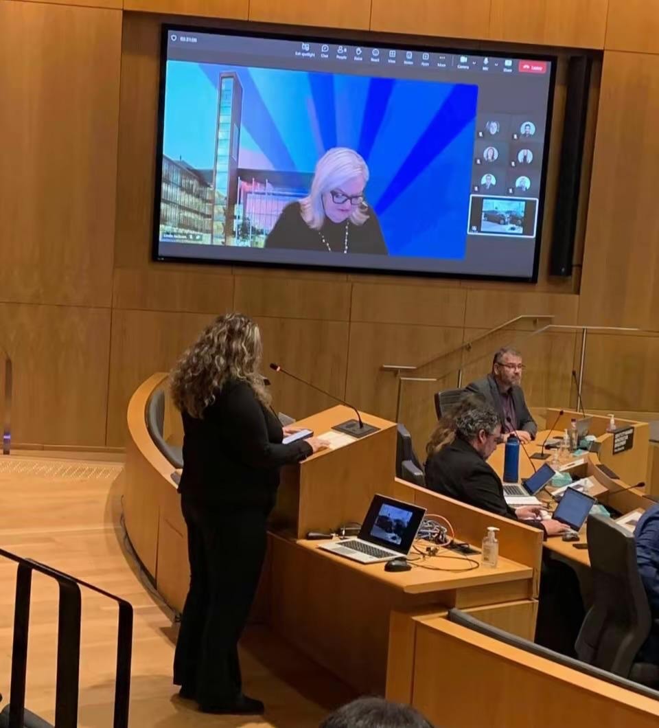 Carmela presenting at a regional council meeting